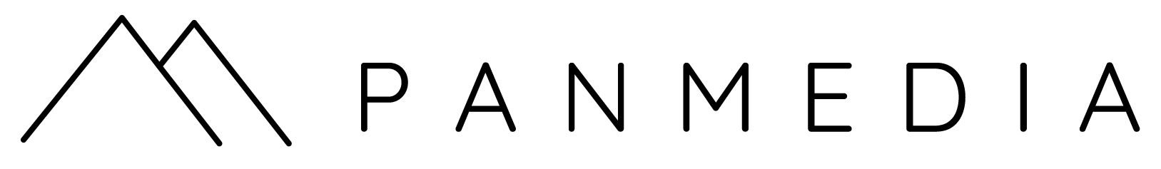 PANMEDIA LTD